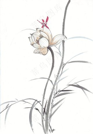 国画花鸟设计素材