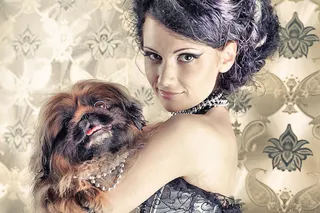 高清狗狗美女图片下载