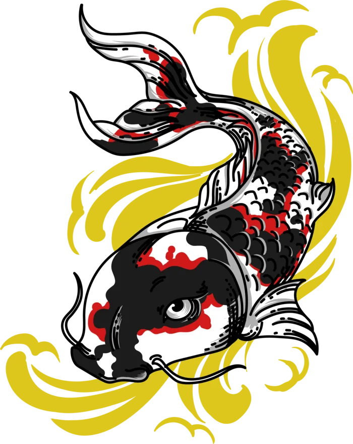锦鲤图片PNG