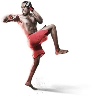 综合格斗 PNG, MMA PNG免抠