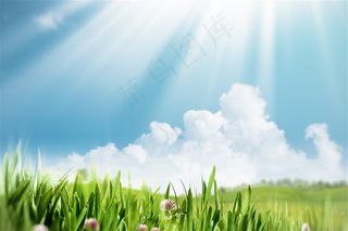 阳光照射的小草和草地高清图片