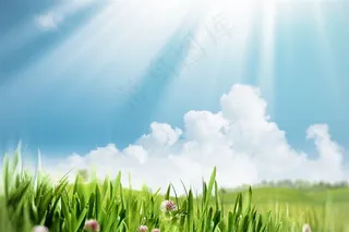 阳光照射的小草和草地高清图片