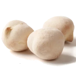 白果 (2)干果超市商品白底图免抠实物摄影png格式图片透明底