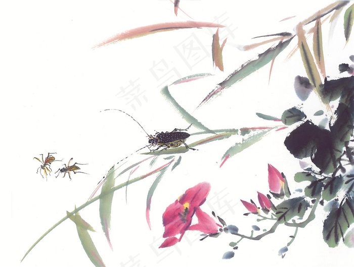 昆虫花草系列图片素材