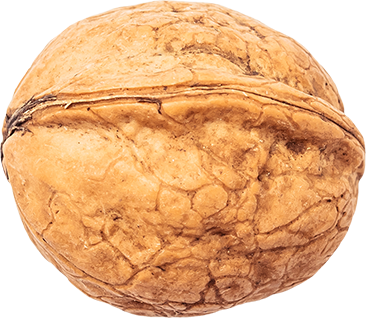 06_Walnut