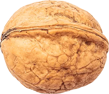 06_Walnut