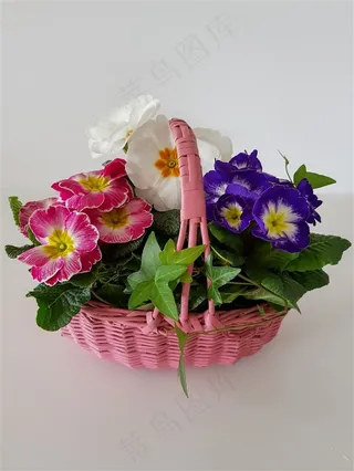 美丽花篮图片