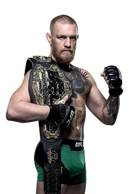 终极格斗冠军赛 PNG免抠(504x755)