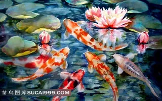 手绘金鱼图片素材