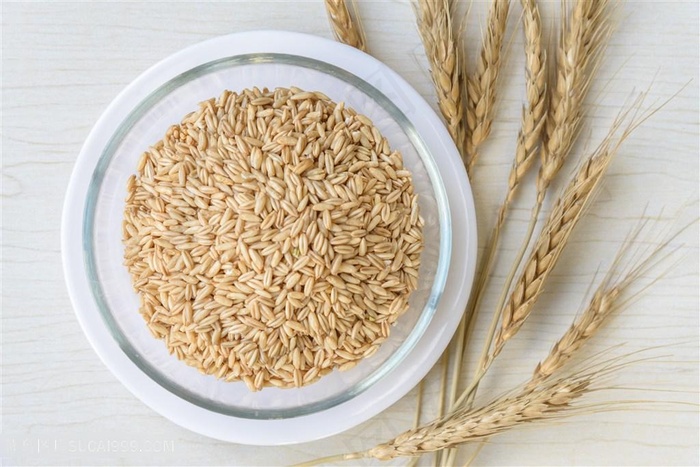 五谷杂粮稻子麦子