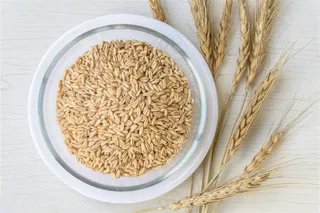 五谷杂粮稻子麦子