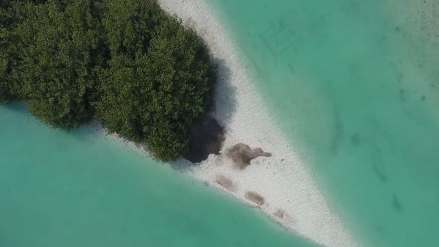 海滩, 岛, 热带, 旅行, 沙, 海, 假期, 夏天