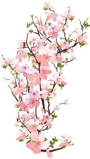 樱花 PNG免抠(5291x9250)