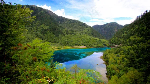 风景画 绿地风景 自然风景画 花树 风景画 绿地风景 自然风景画 花树