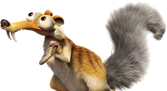 松鼠1    松鼠1   松鼠1
