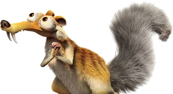 松鼠1    松鼠1   松鼠1