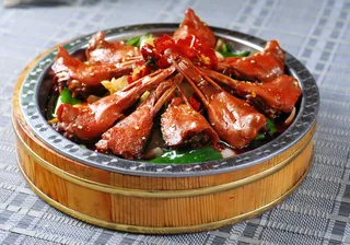 XCXC1031风暴鸭唇