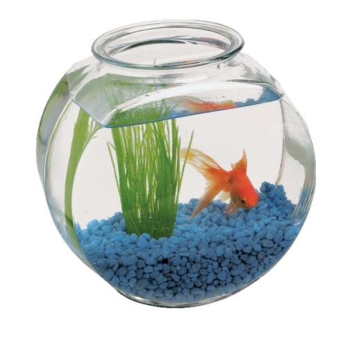水族馆 PNG免抠