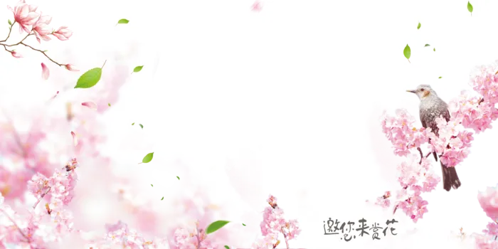 桃花云朵装饰背景设计
