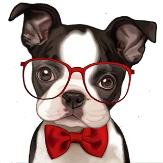 小狗戴眼镜卡通