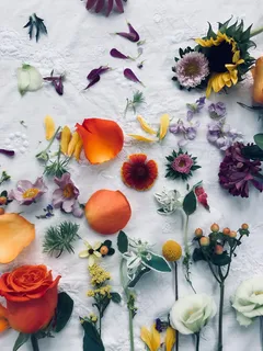 花朵高清图片背景素材 花朵高清图片背景素材