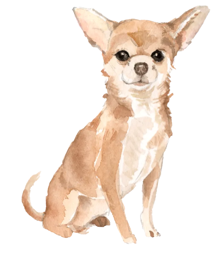 狗狗水彩画插画免扣素材可爱宠物狗