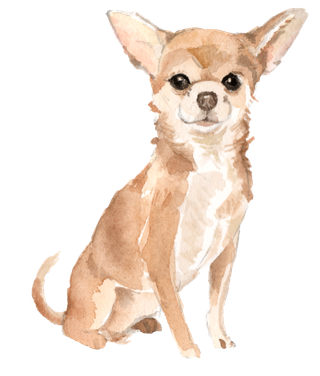 狗狗水彩画插画免扣素材可爱宠物狗