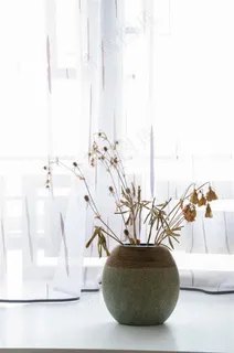 窗边的一盆干花