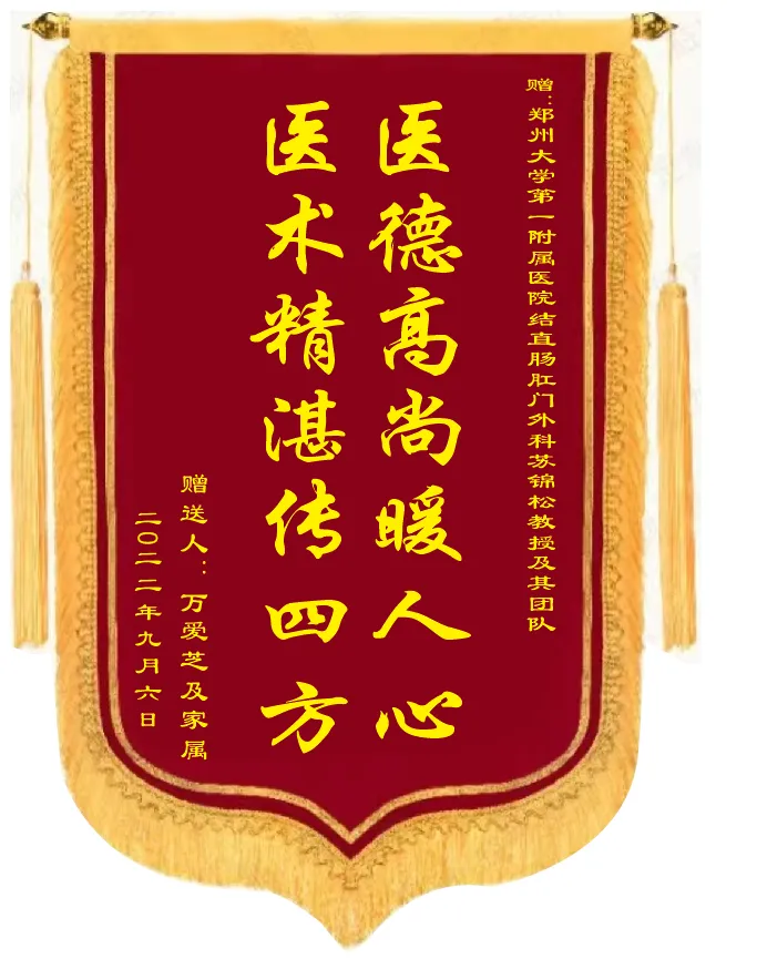 高档中号锦旗cdr矢量模版下载