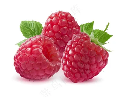 新鲜的车厘子水果图片 新鲜的车厘子水果图片