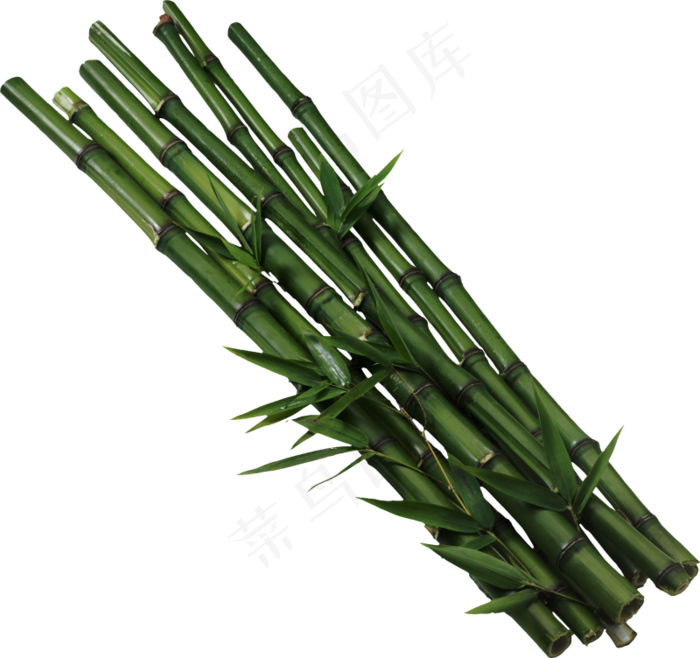 PNG 绿色竹子