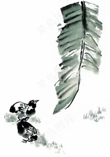 鸟禽中国画美图素材