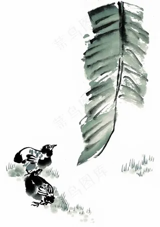 鸟禽中国画美图素材
