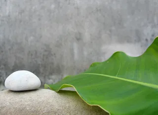 叶子背景素材图片下载