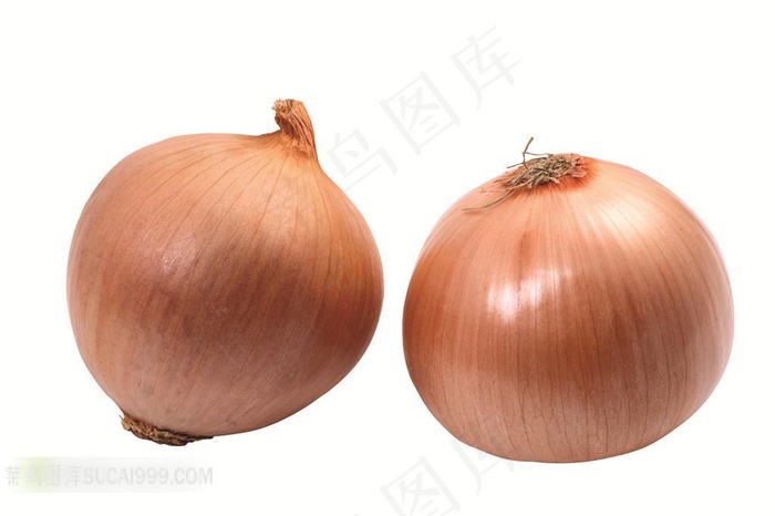 洋葱高清摄影素材