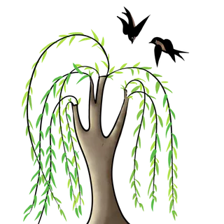 春天绿色春季水墨柳树柳条柳叶春季海报设计PNG免扣素材