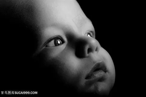 黑白宝宝脸蛋图片