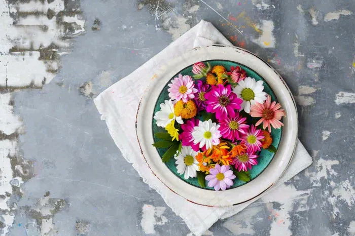 鲜花彩色花朵碟子摆盘简约摄影图(1344x896)