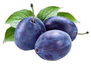 西梅 (7)水果超市商品白底图免抠实物摄影png格式图片透明底