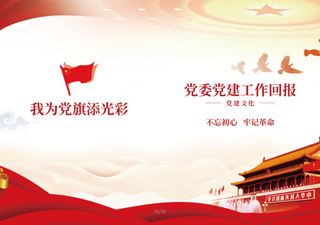 大气高档红色党建文化画册封面