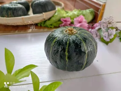 拍的贝贝南瓜 拍的贝贝南瓜