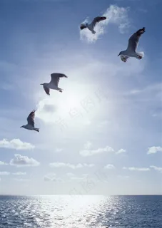 白云蓝天背景图片素材 白云蓝天背景图片素材