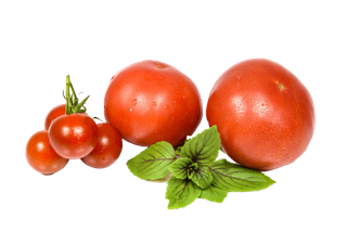 西红柿水果超市商品白底图免抠实物摄影png格式图片透明底