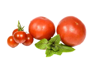 西红柿水果超市商品白底图免抠实物摄影png格式图片透明底