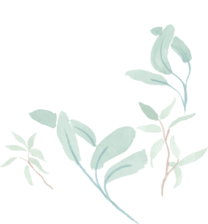 绿色浅淡操类植物背景免扣素材