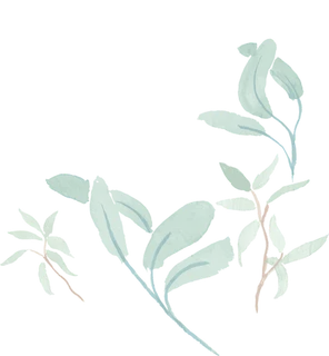 绿色浅淡操类植物背景免扣素材