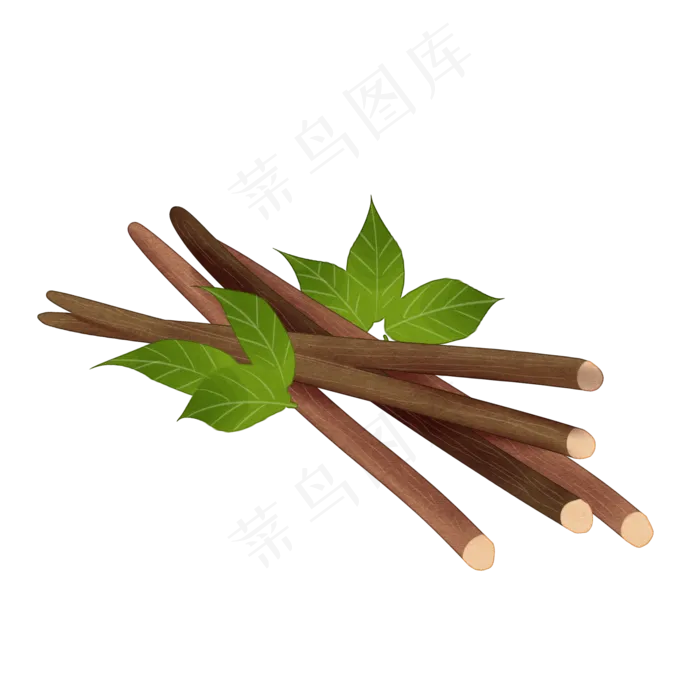 手绘草本中药药材