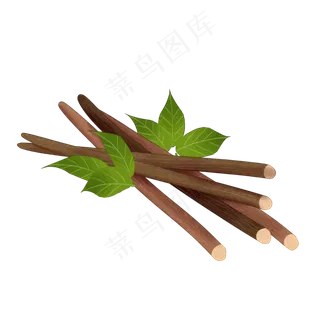 手绘草本中药药材