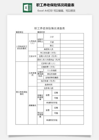 职工养老保险情况调查表excel模板