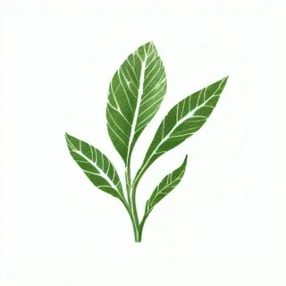 一支绿色的叶子png免抠